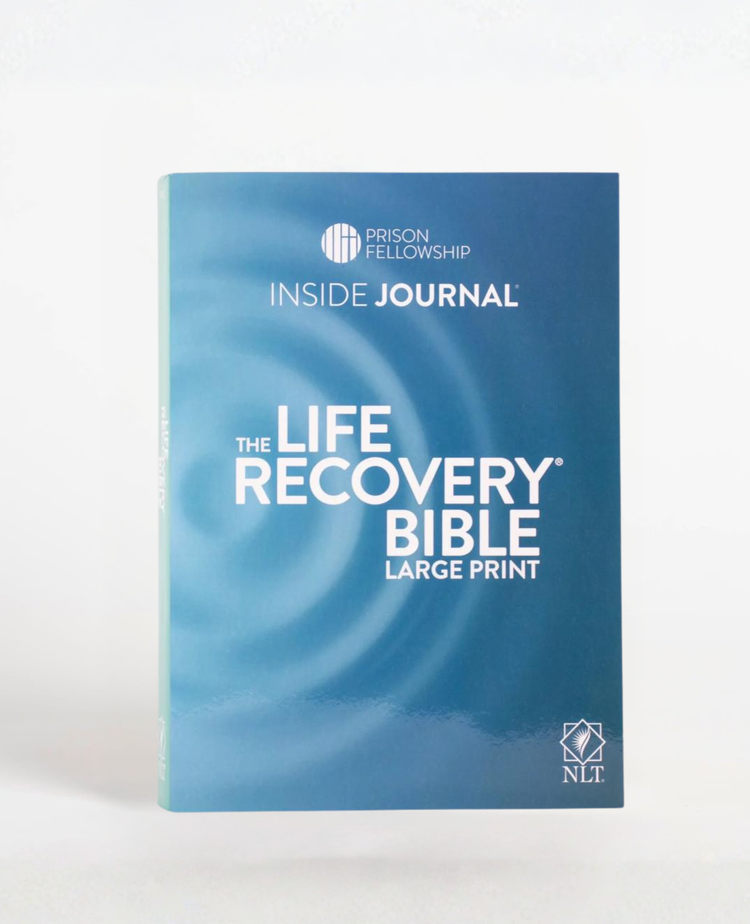 Life Recovery Bible