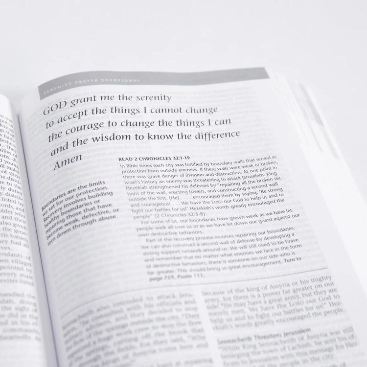 Life Recovery Bible