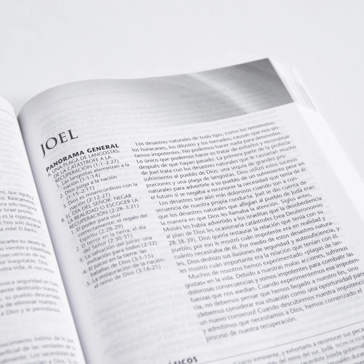 Life Recovery Bible | Spanish