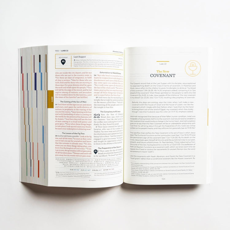 Great Adventure Catholic Bible